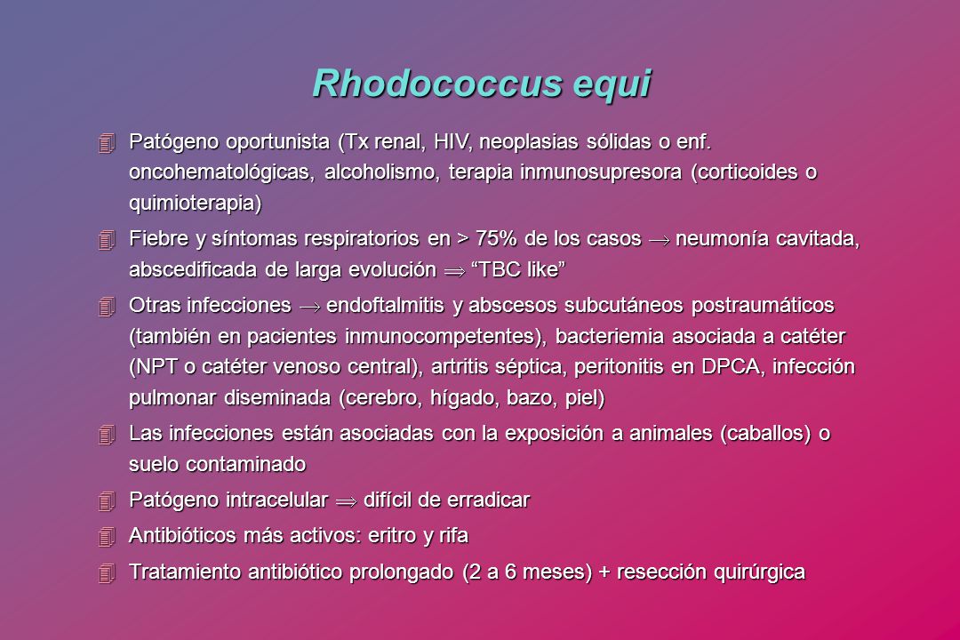 Rhodococcus equi diagnóstico de diabetes